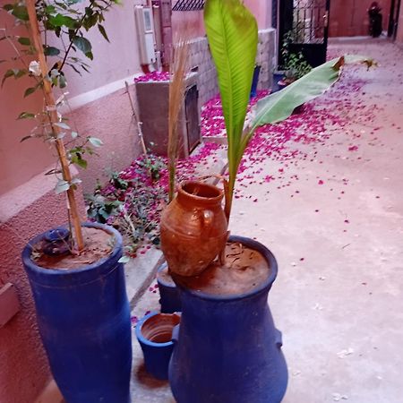 Riad Le Shams مراكش المظهر الخارجي الصورة