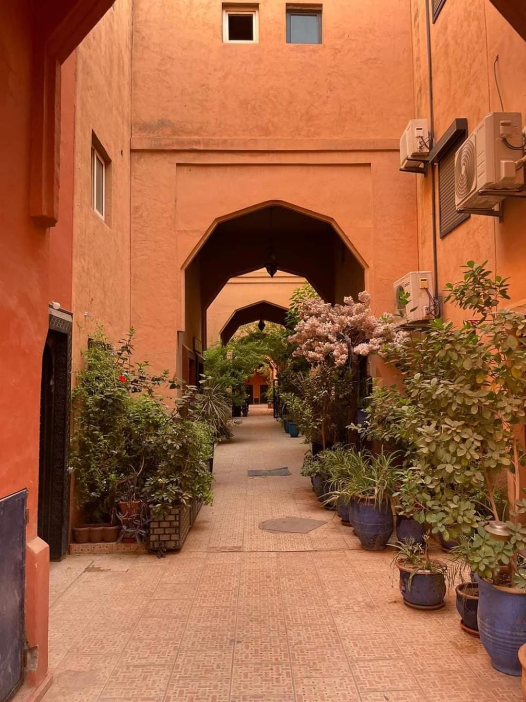 Riad Le Shams مراكش المظهر الخارجي الصورة