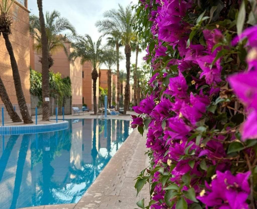 Riad Le Shams مراكش المظهر الخارجي الصورة